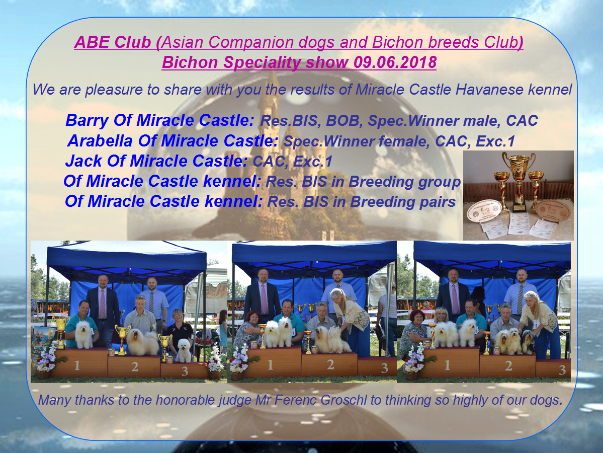 Havanese Of Miracle Castle kennel results on the ABE Speciality Club show 2018